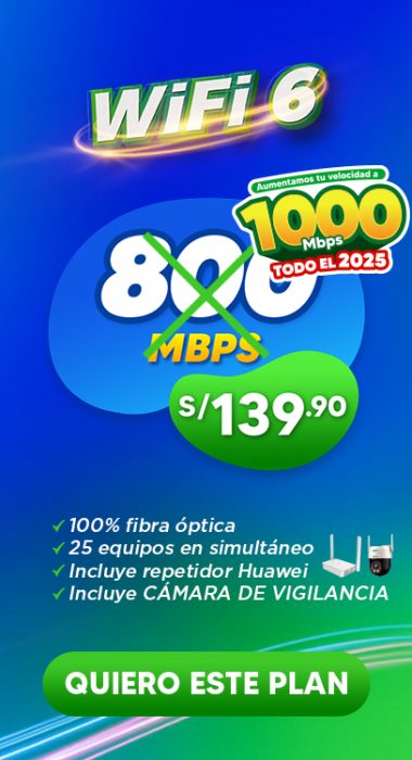 Plan_800